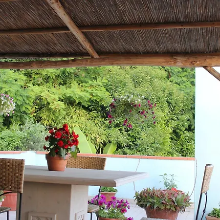 Apartment La Terrazza